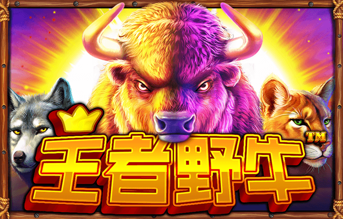 新澳49库图App